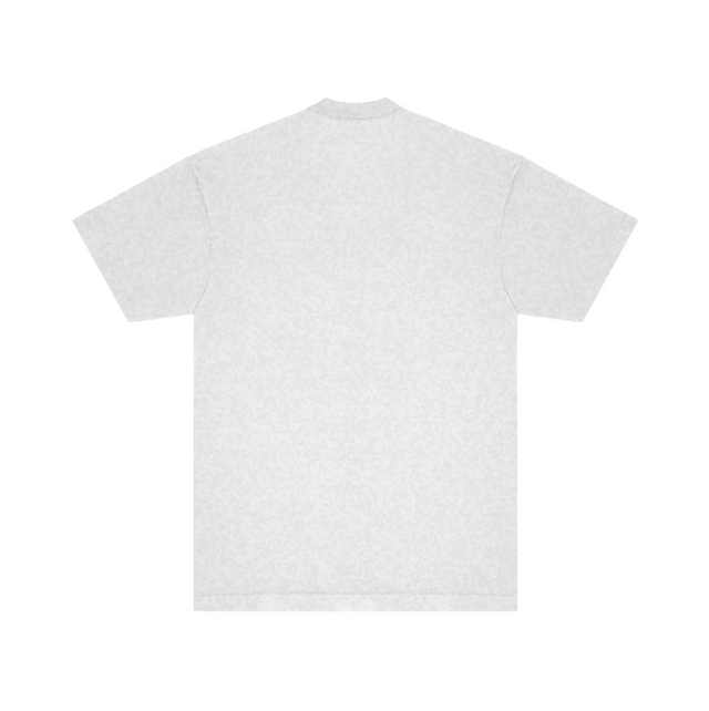 FADED ARC ASH T-SHIRT